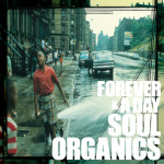 soul organics